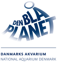 Den Blå Planet, Danmarks Akvarium></noscript>