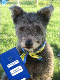Eu-pass för sällskapsdjur