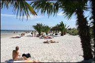Palme Stranden