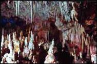 Caves of Hams