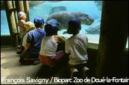 Bioparc Zoo de Doué (Doué la Fontaine Zoo)
