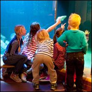 Sjöfartsmuseet Akvariet
