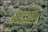 Hoo Hill Maze