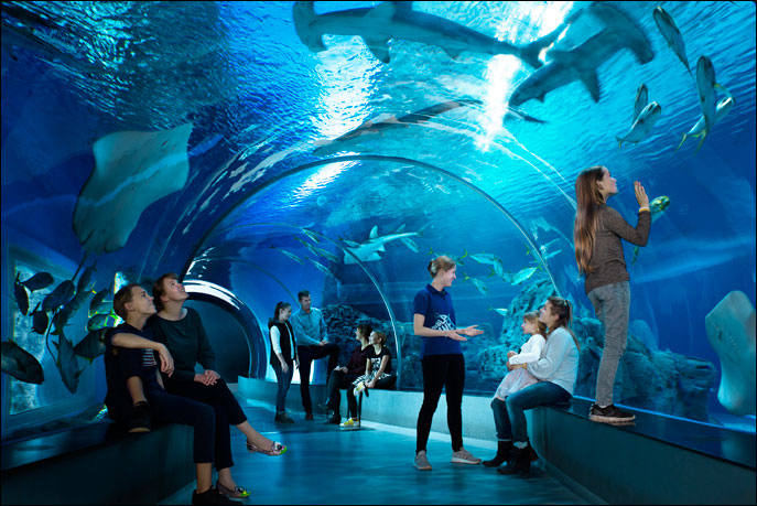 Den Blå Planet, Danmarks Akvarium