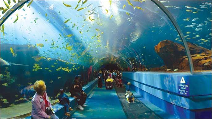 Aquarium di Genoa
