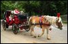 Häst och vagn i Central Park