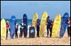 Wave Rider Surf School
