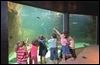 Aquarium Marin de Trégastel