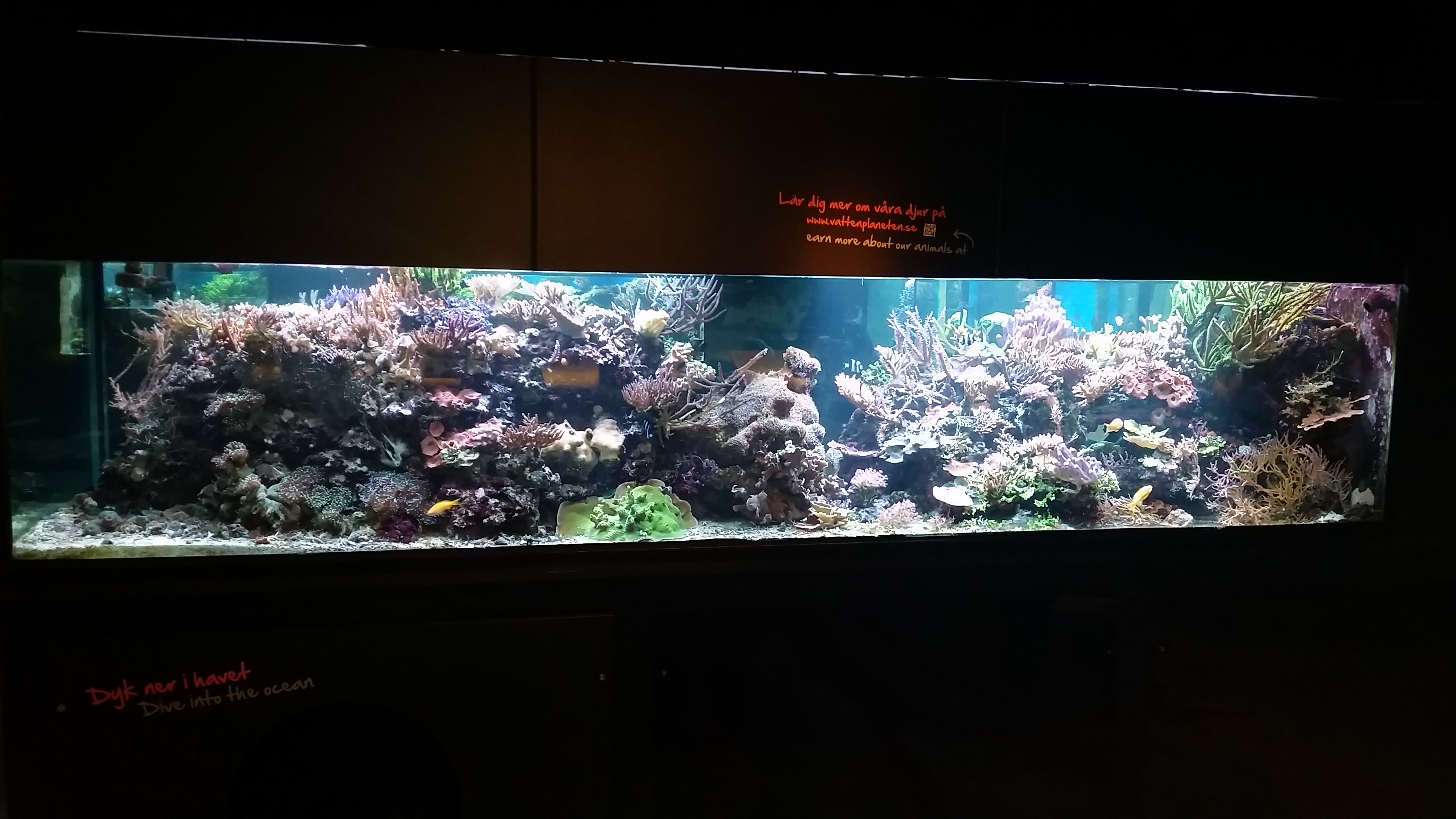 Sjöfartsmuseet Akvariet