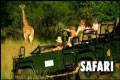 Safari med barn